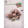 Taste fresco dolce e croccanti pezzi di noci